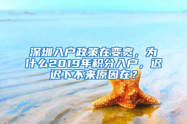 深圳入户政策在变宽，为什么2019年积分入户，迟迟下不来原因在？