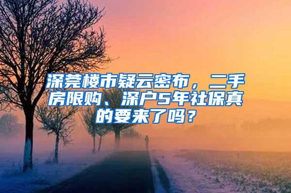 深莞楼市疑云密布，二手房限购、深户5年社保真的要来了吗？