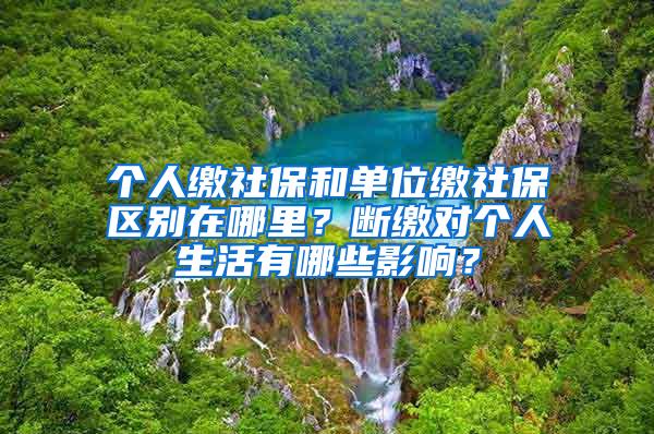 个人缴社保和单位缴社保区别在哪里？断缴对个人生活有哪些影响？