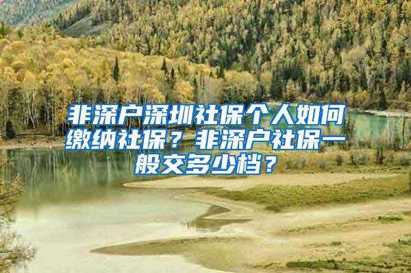 非深户深圳社保个人如何缴纳社保？非深户社保一般交多少档？