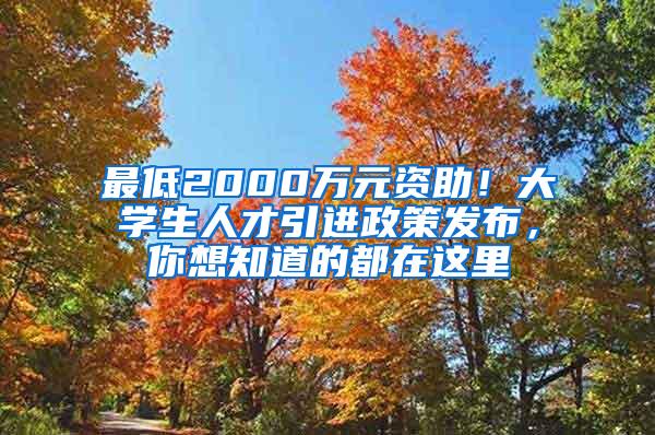 最低2000万元资助！大学生人才引进政策发布，你想知道的都在这里