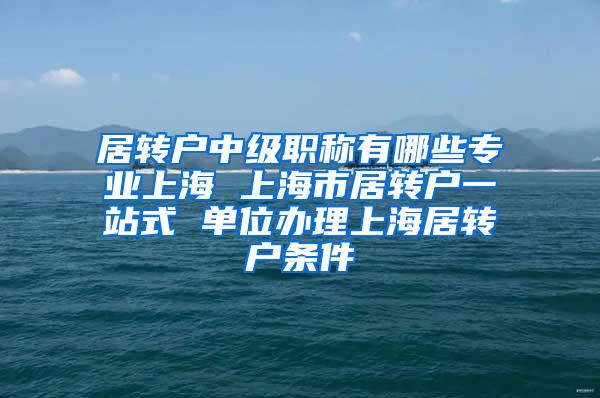 居转户中级职称有哪些专业上海 上海市居转户一站式 单位办理上海居转户条件