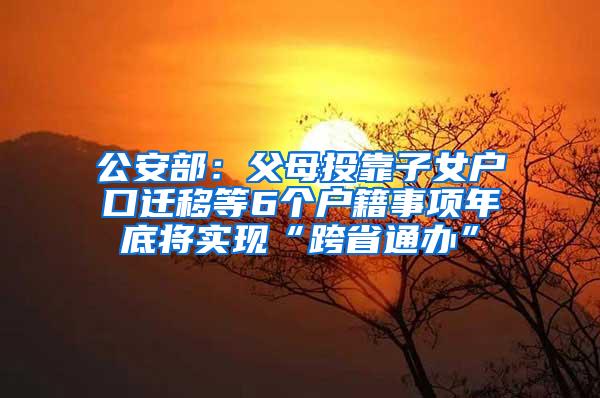 公安部：父母投靠子女户口迁移等6个户籍事项年底将实现“跨省通办”