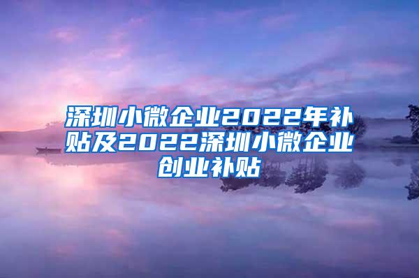 深圳小微企业2022年补贴及2022深圳小微企业创业补贴