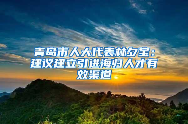 青岛市人大代表林夕宝：建议建立引进海归人才有效渠道