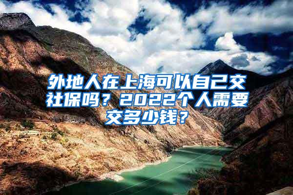 外地人在上海可以自己交社保吗？2022个人需要交多少钱？