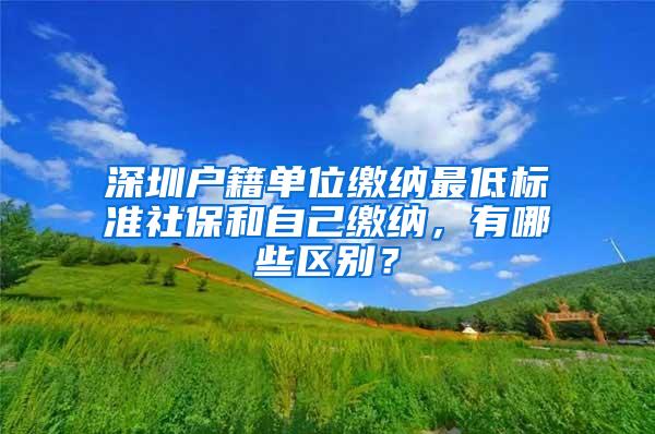 深圳户籍单位缴纳最低标准社保和自己缴纳，有哪些区别？