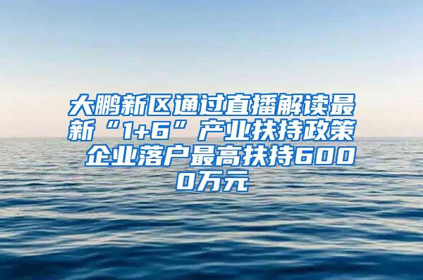 大鹏新区通过直播解读最新“1+6”产业扶持政策 企业落户最高扶持6000万元