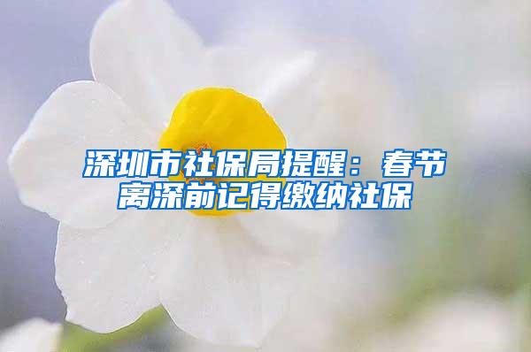 深圳市社保局提醒：春节离深前记得缴纳社保