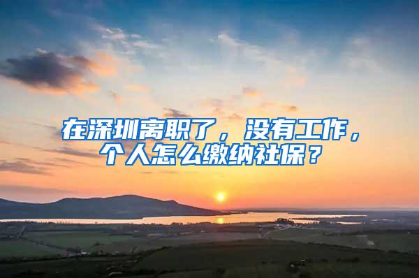 在深圳离职了，没有工作，个人怎么缴纳社保？