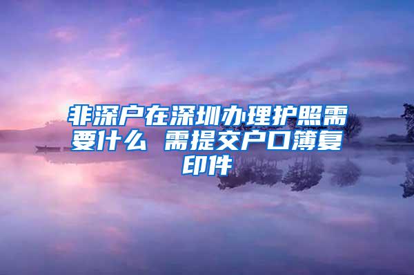 非深户在深圳办理护照需要什么 需提交户口簿复印件