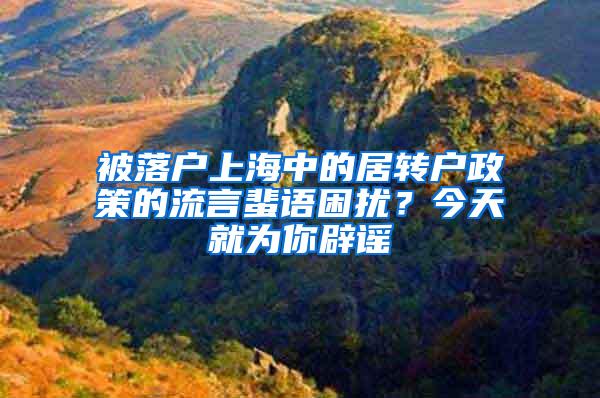 被落户上海中的居转户政策的流言蜚语困扰？今天就为你辟谣