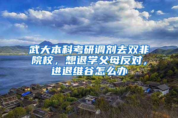 武大本科考研调剂去双非院校，想退学父母反对，进退维谷怎么办