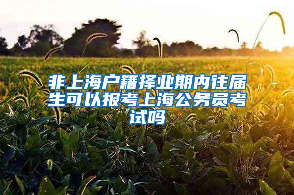 非上海户籍择业期内往届生可以报考上海公务员考试吗