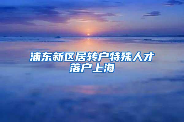 浦东新区居转户特殊人才落户上海