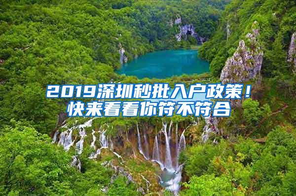 2019深圳秒批入户政策！快来看看你符不符合