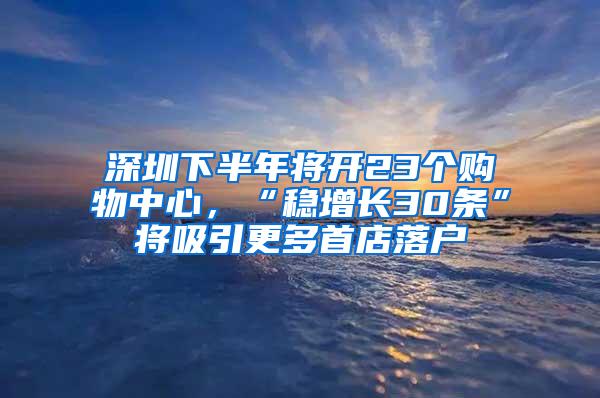 深圳下半年将开23个购物中心，“稳增长30条”将吸引更多首店落户