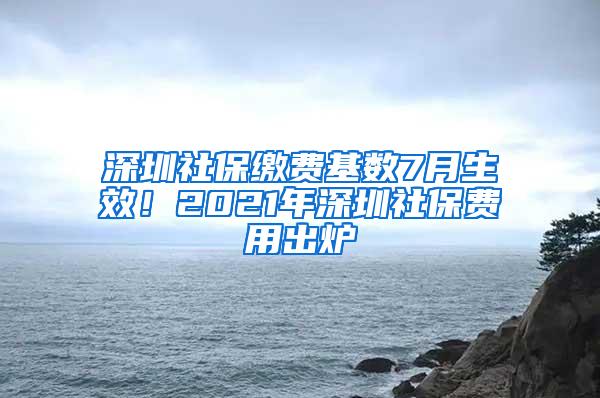 深圳社保缴费基数7月生效！2021年深圳社保费用出炉