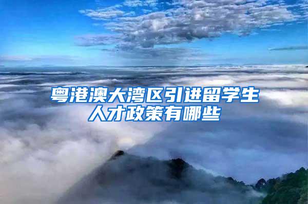 粤港澳大湾区引进留学生人才政策有哪些