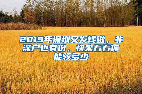 2019年深圳又发钱啦，非深户也有份，快来看看你能领多少