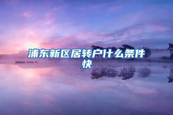 浦东新区居转户什么条件快