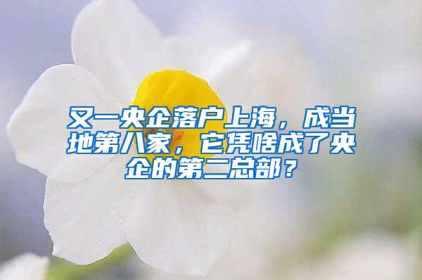 又一央企落户上海，成当地第八家，它凭啥成了央企的第二总部？