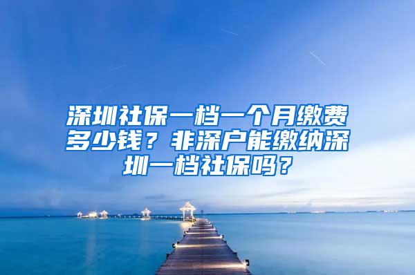 深圳社保一档一个月缴费多少钱？非深户能缴纳深圳一档社保吗？