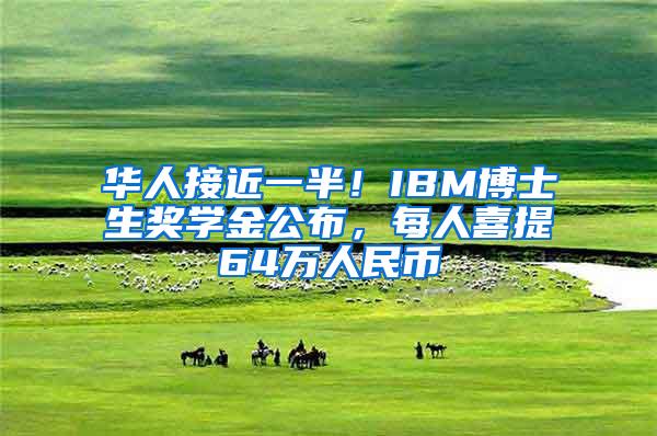 华人接近一半！IBM博士生奖学金公布，每人喜提64万人民币