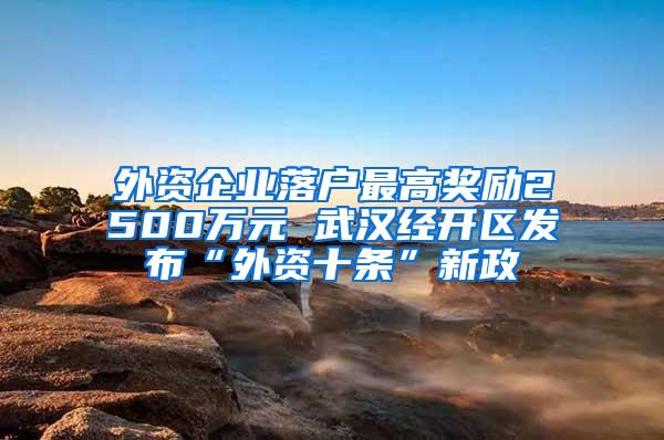 外资企业落户最高奖励2500万元 武汉经开区发布“外资十条”新政