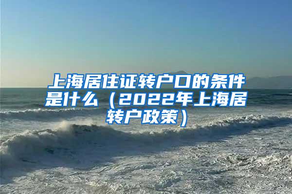 上海居住证转户口的条件是什么（2022年上海居转户政策）