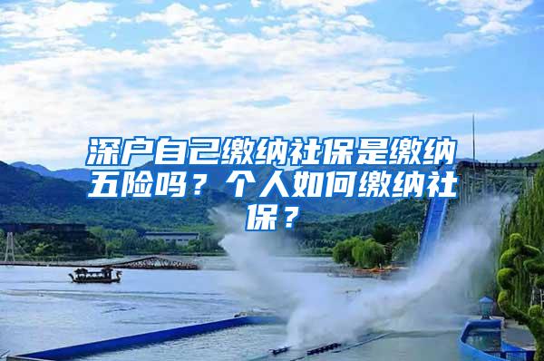 深户自己缴纳社保是缴纳五险吗？个人如何缴纳社保？