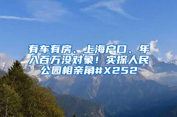 有车有房、上海户口、年入百万没对象！实探人民公园相亲角#X252