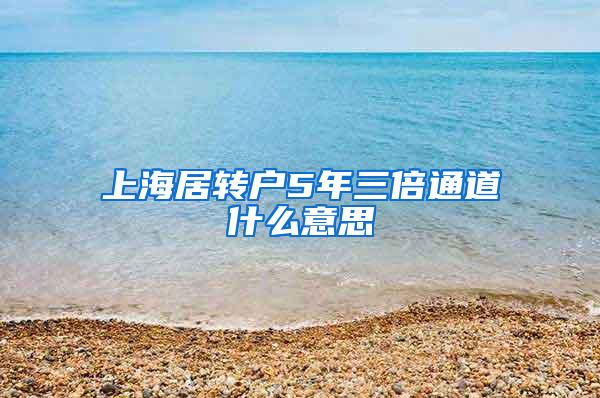 上海居转户5年三倍通道什么意思