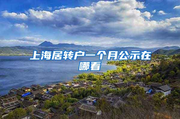 上海居转户一个月公示在哪看