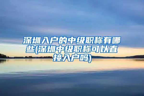 深圳入户的中级职称有哪些(深圳中级职称可以直接入户吗)