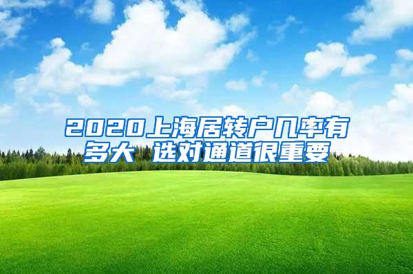 2020上海居转户几率有多大 选对通道很重要