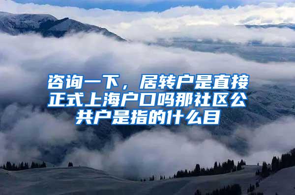 咨询一下，居转户是直接正式上海户口吗那社区公共户是指的什么目