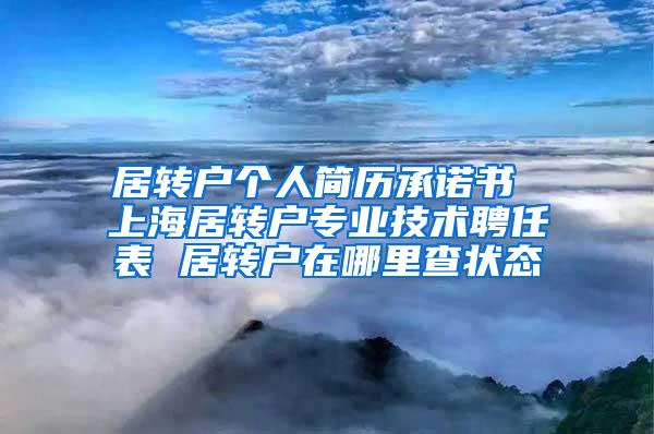 居转户个人简历承诺书 上海居转户专业技术聘任表 居转户在哪里查状态