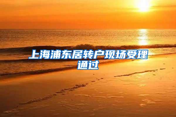 上海浦东居转户现场受理通过