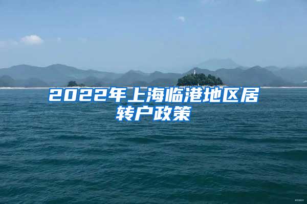 2022年上海临港地区居转户政策