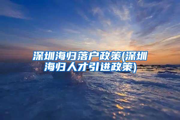 深圳海归落户政策(深圳海归人才引进政策)