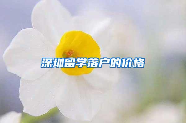 深圳留学落户的价格