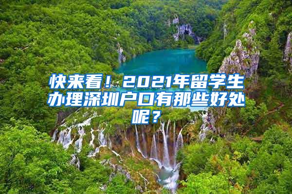 快来看！2021年留学生办理深圳户口有那些好处呢？