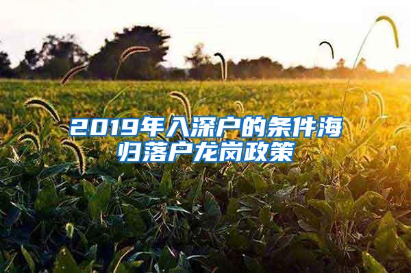 2019年入深户的条件海归落户龙岗政策