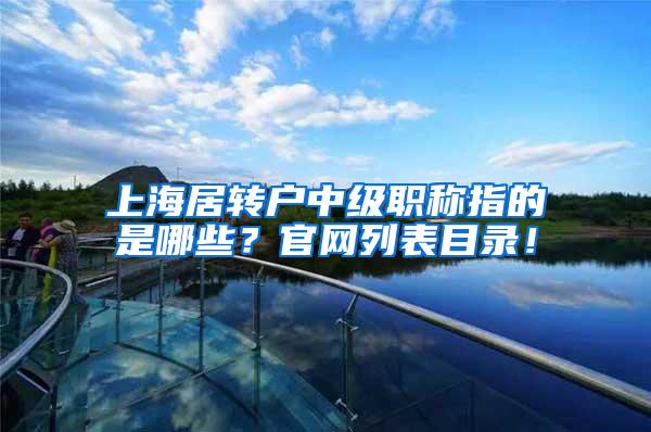 上海居转户中级职称指的是哪些？官网列表目录！