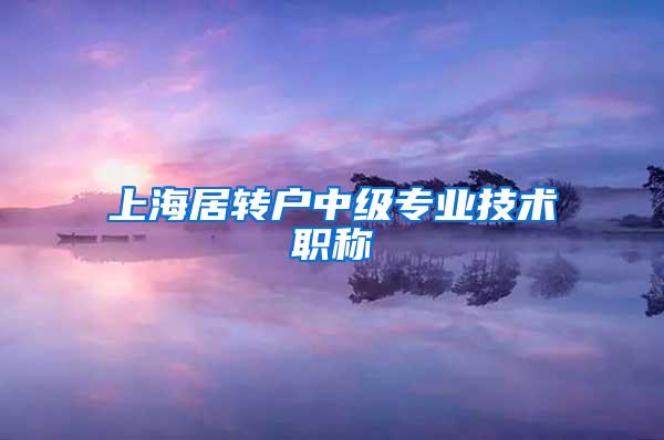 上海居转户中级专业技术职称