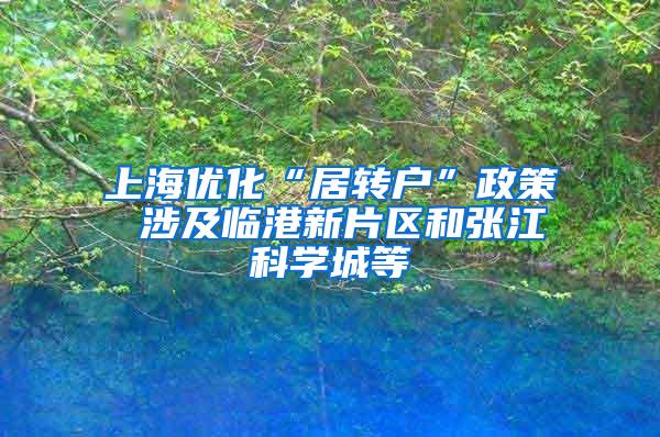 上海优化“居转户”政策 涉及临港新片区和张江科学城等