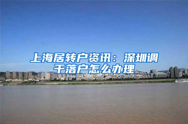 上海居转户资讯：深圳调干落户怎么办理