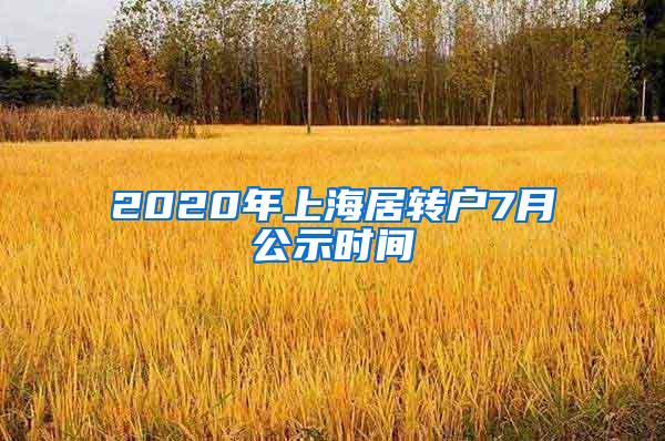 2020年上海居转户7月公示时间