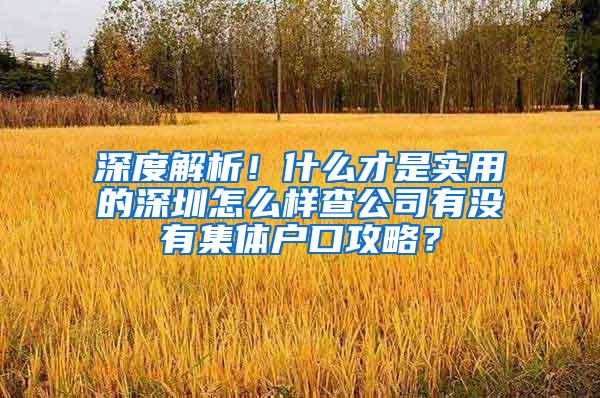 深度解析！什么才是实用的深圳怎么样查公司有没有集体户口攻略？